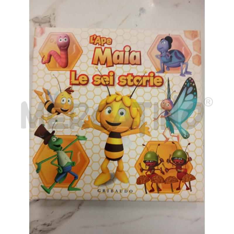 MAIA LE SEI STORIE  | Mercatino dell'Usato San giorgio del sannio 1