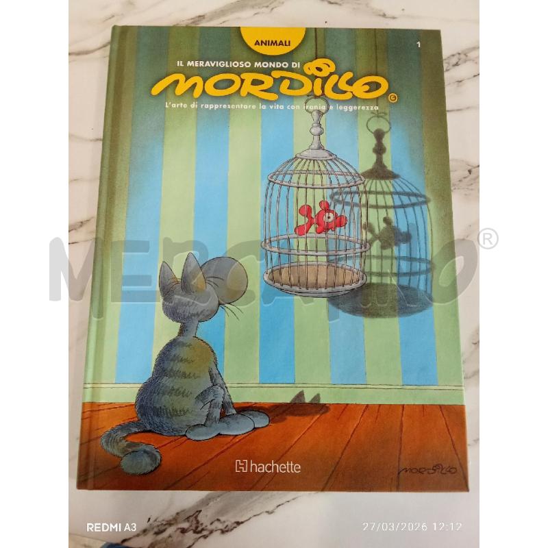 MORDILLO  | Mercatino dell'Usato San giorgio del sannio 1