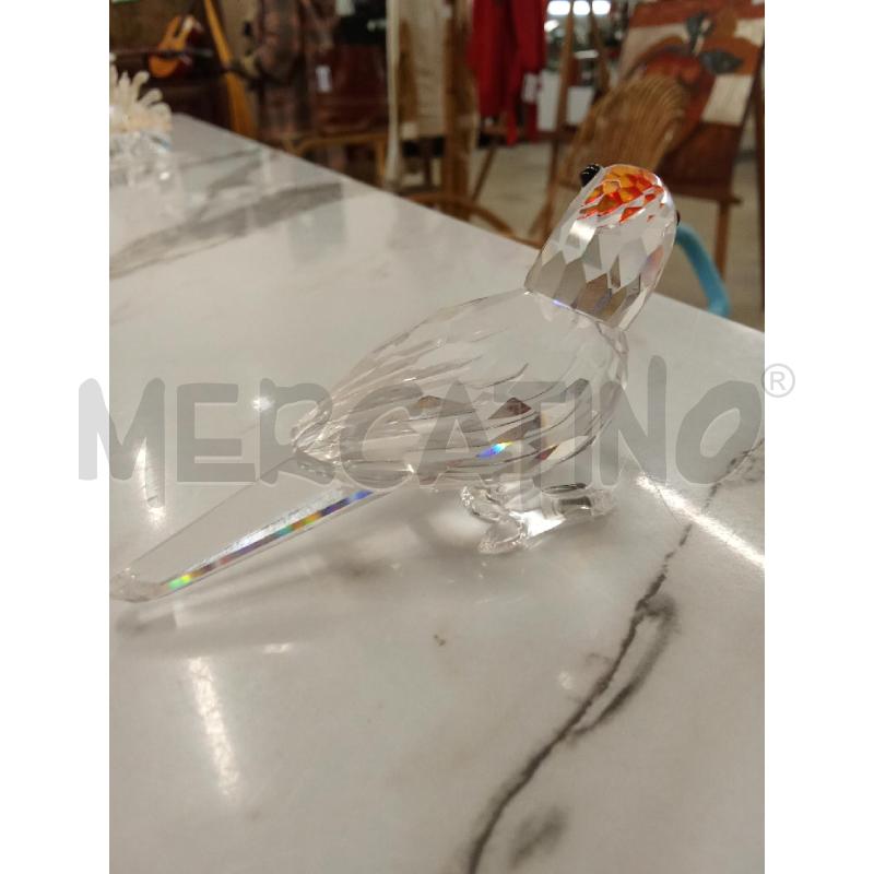 PAPPAGALLO SWAROVSKY  | Mercatino dell'Usato San giorgio del sannio 2