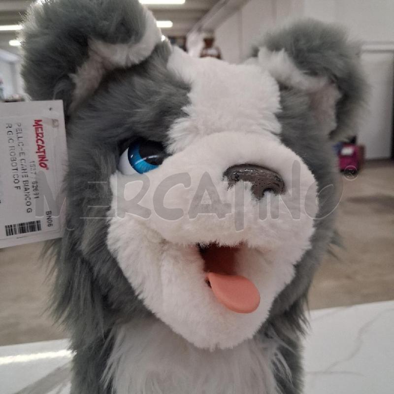 PELUCHE CANE BIANCO GRIGIO ROBOTICO FUNZIONANTE FURREAL FRIENDS  | Mercatino dell'Usato San giorgio del sannio 2