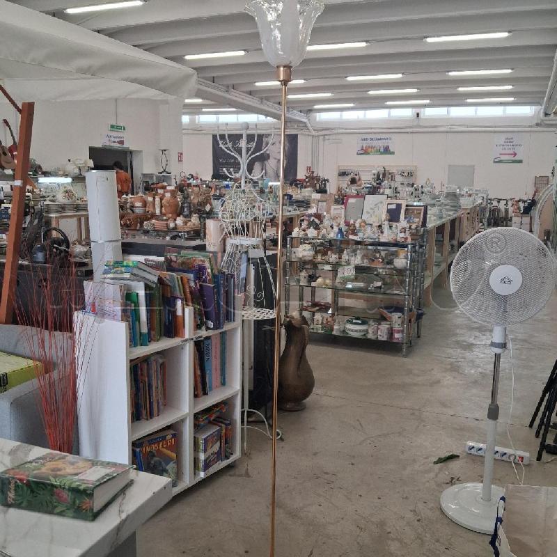 PIANTANA DORATA CALOTTA VETRO MURANO  | Mercatino dell'Usato San giorgio del sannio 1