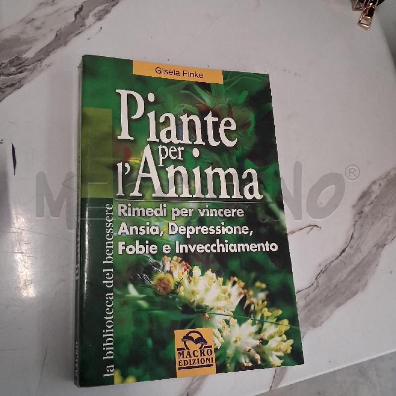 PIANTE PER L'ANIMA | Mercatino dell'Usato San giorgio del sannio 1