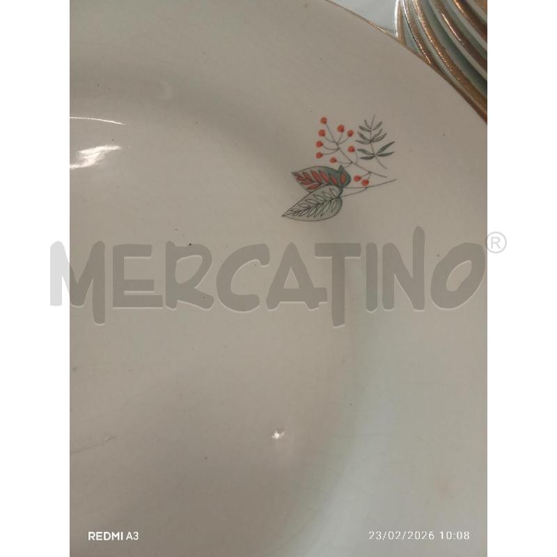 PIATTI PZ. 6+6 RIGO DORATO TERRAGLIA FORTE DISEGNO FOGLIE  | Mercatino dell'Usato San giorgio del sannio 4