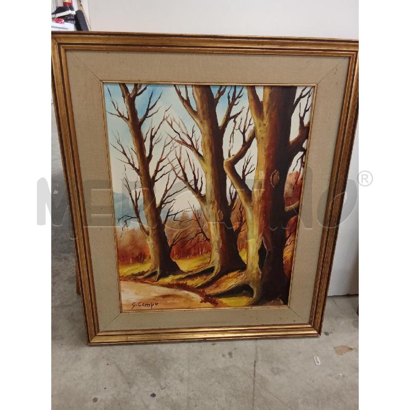 QUADRO C DORATA TELA ALBERI S CAMPO  | Mercatino dell'Usato San giorgio del sannio 1