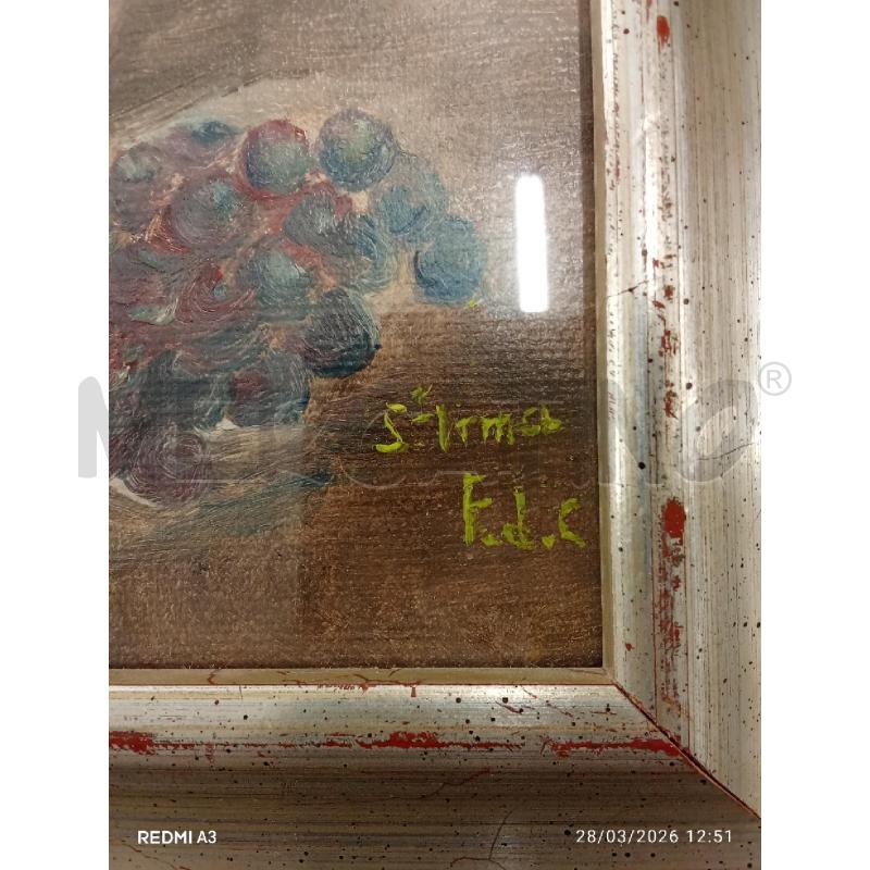 QUADRO C GRIGIA BROCCA PERA UVA  | Mercatino dell'Usato San giorgio del sannio 5