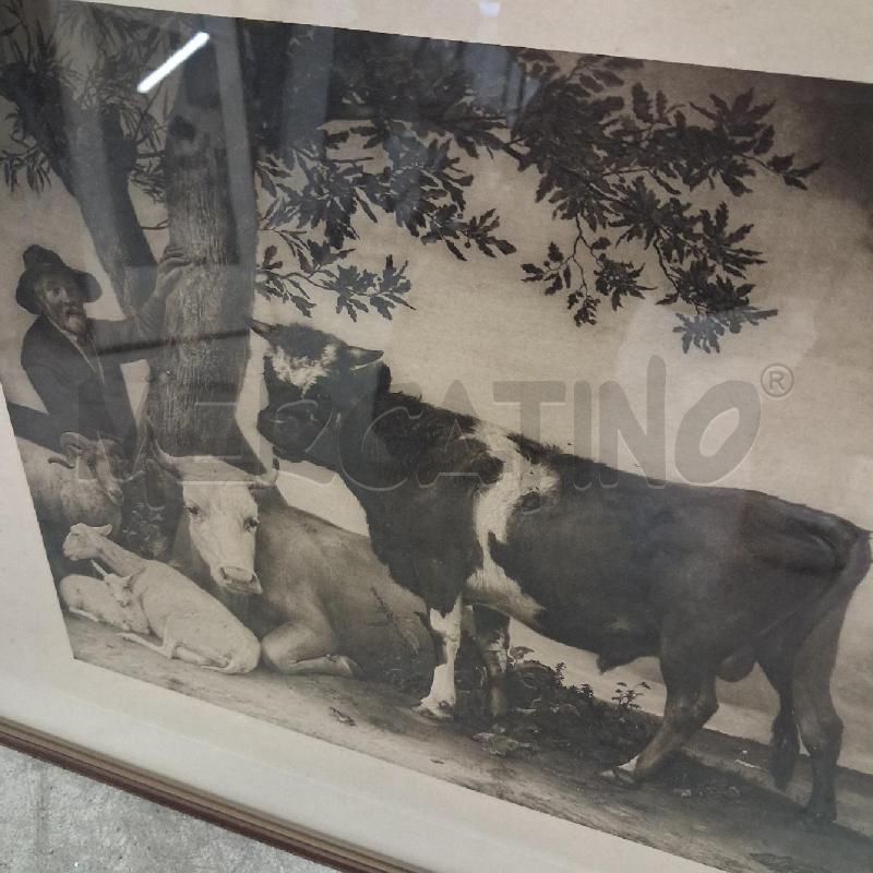 QUADRO C LEGNO STAMPA BUOI | Mercatino dell'Usato San giorgio del sannio 2