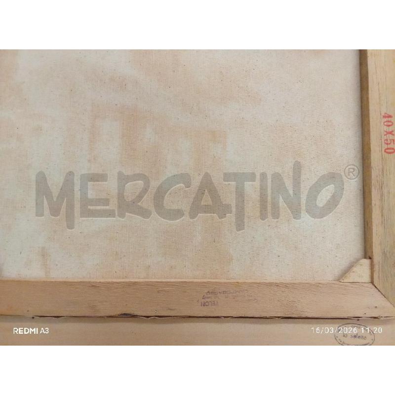QUADRO C VERDE ARGENTATA TELA CASE CACTUS | Mercatino dell'Usato San giorgio del sannio 4
