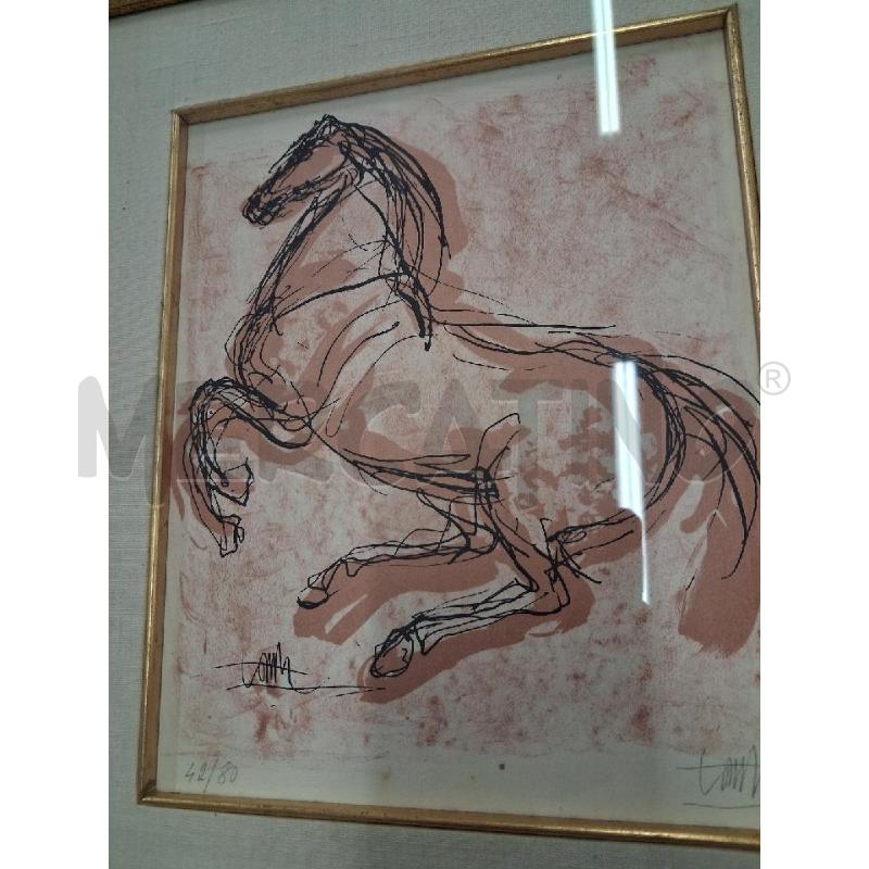 QUADRO STAMPA LITOGRAFICA CAVALLO  | Mercatino dell'Usato San giorgio del sannio 3