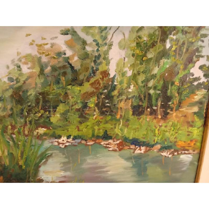 QUADRO TELA  LAGHETTO ALGHE | Mercatino dell'Usato San giorgio del sannio 3