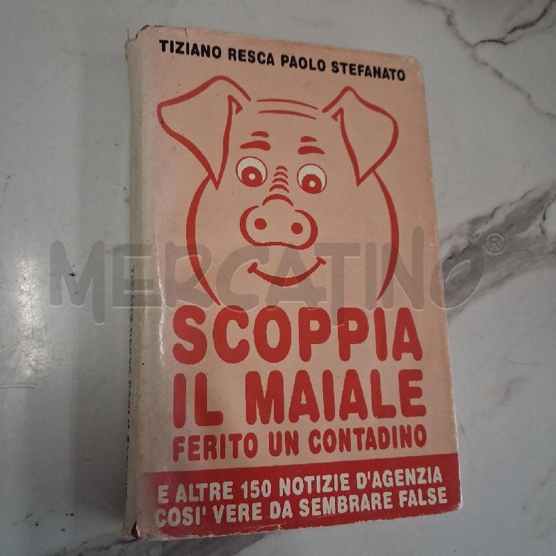 SCOPPIA IL MAIALE FERITO UN CONTADINO  | Mercatino dell'Usato San giorgio del sannio 1