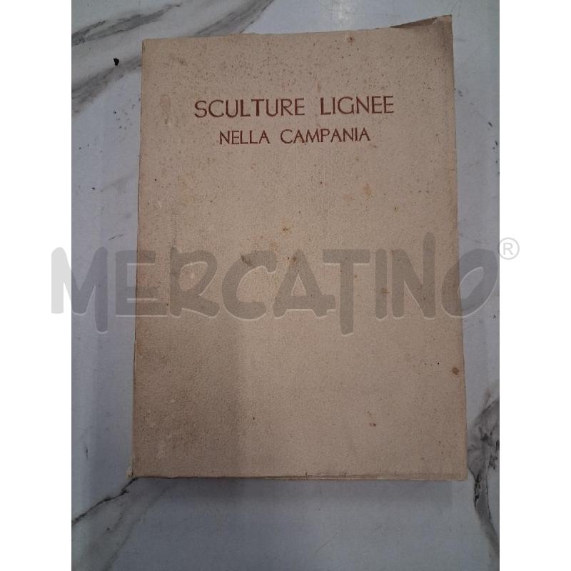 SCULTURE LIGNEE NELLA CAMPANIA | Mercatino dell'Usato San giorgio del sannio 1