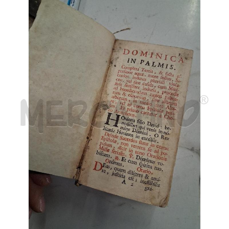 SERMONE LATINO DOMINICA IN PALMIS | Mercatino dell'Usato San giorgio del sannio 1