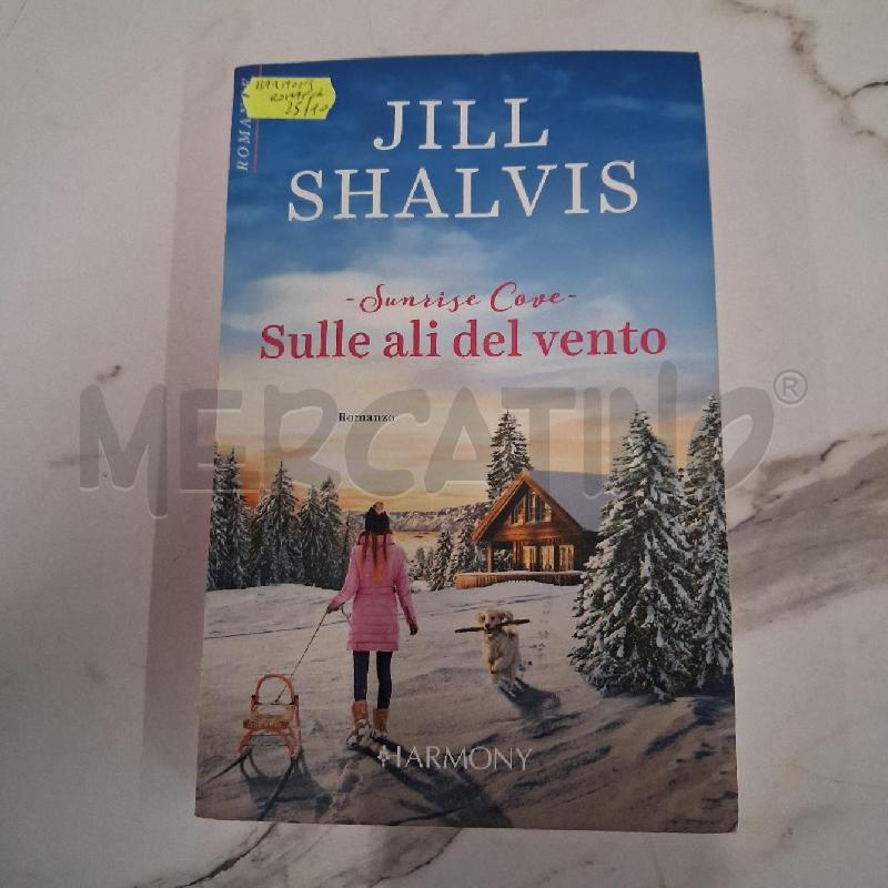 SULLE ALI DEL VENTO  | Mercatino dell'Usato San giorgio del sannio 1