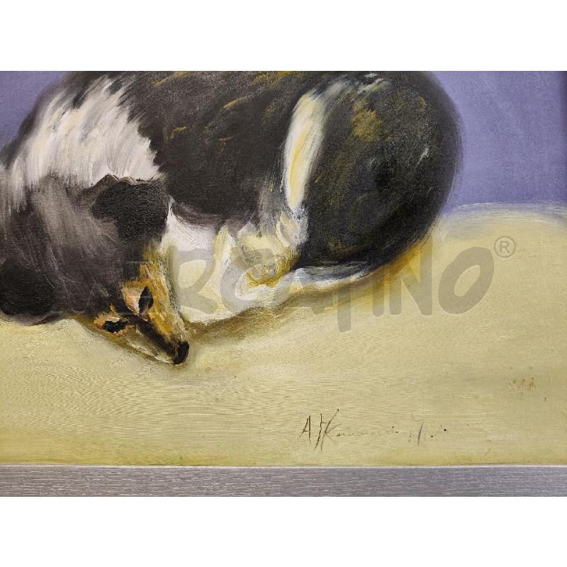 TELA CORNICE GRIGIA A. MASTRONUNZIO CANE  | Mercatino dell'Usato San giorgio del sannio 3