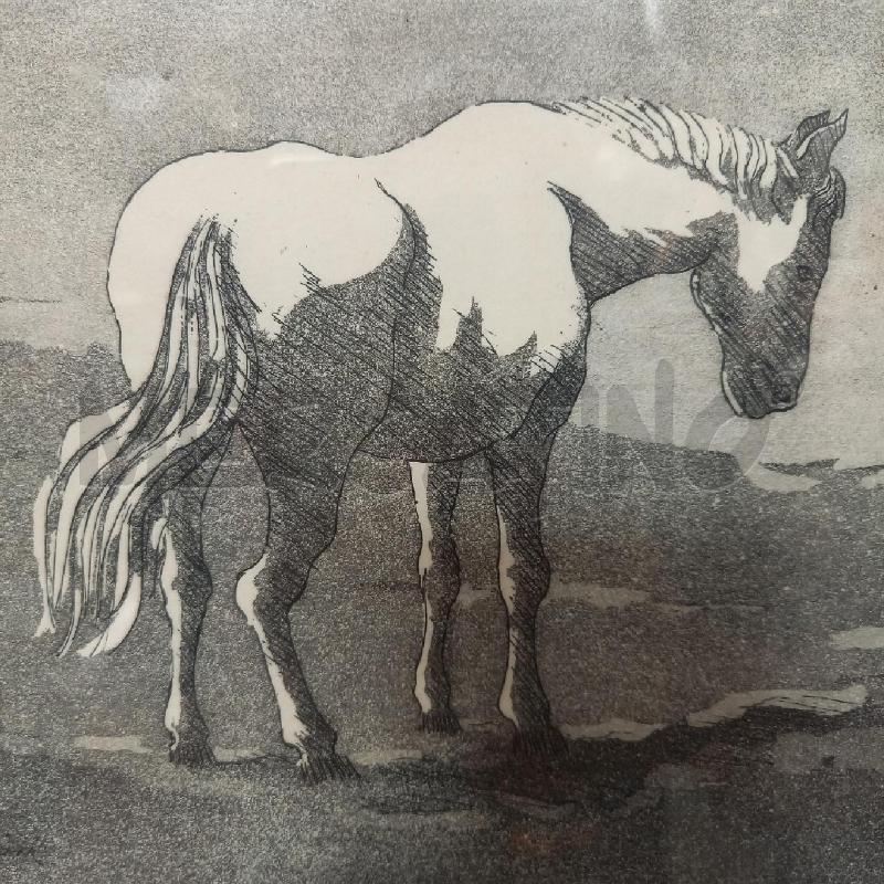 CORNICE  PA BARDINI CAVALLO | Mercatino dell'Usato Bologna 4