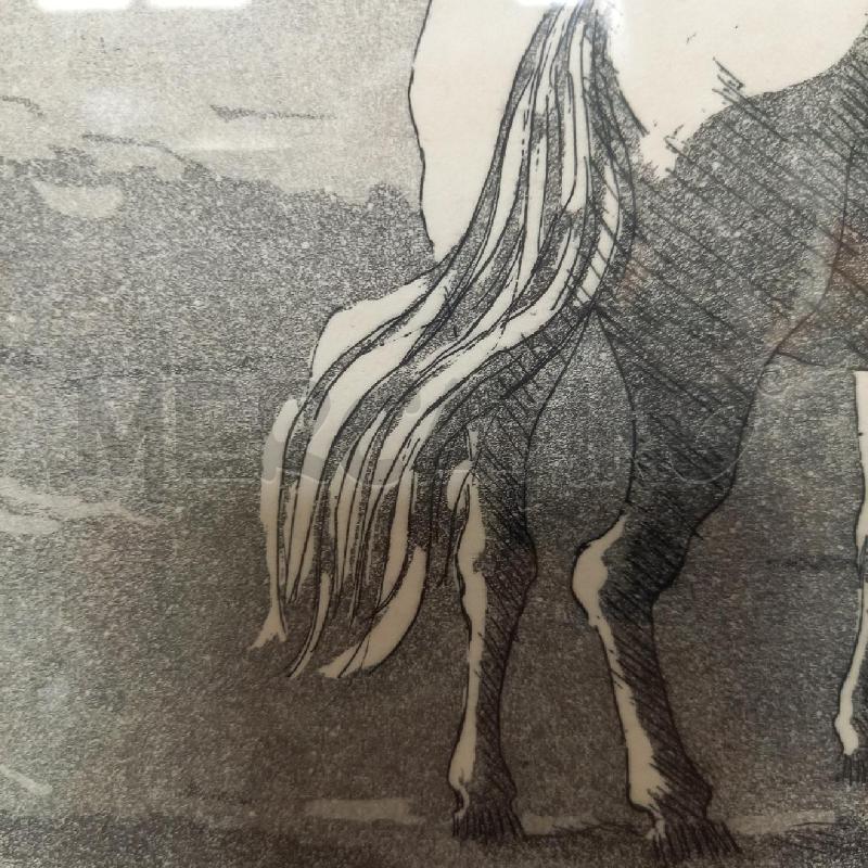CORNICE  PA BARDINI CAVALLO | Mercatino dell'Usato Bologna 5
