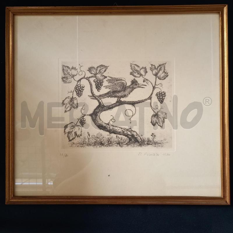 GRAFICA UCCELLO CON GRAPPOLI | Mercatino dell'Usato Bologna 1