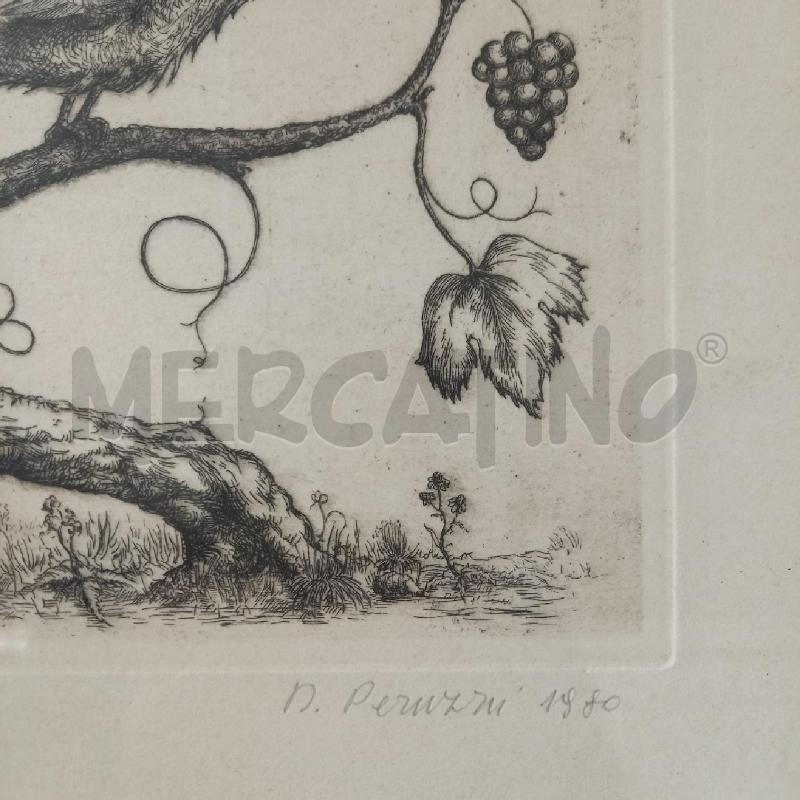 GRAFICA UCCELLO CON GRAPPOLI | Mercatino dell'Usato Bologna 2