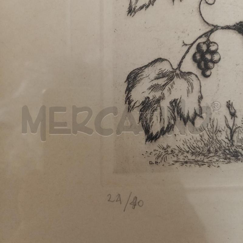 GRAFICA UCCELLO CON GRAPPOLI | Mercatino dell'Usato Bologna 3