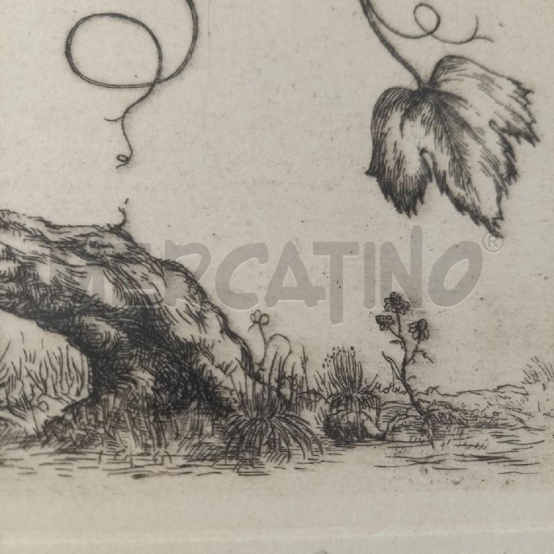 GRAFICA UCCELLO CON GRAPPOLI | Mercatino dell'Usato Bologna 5