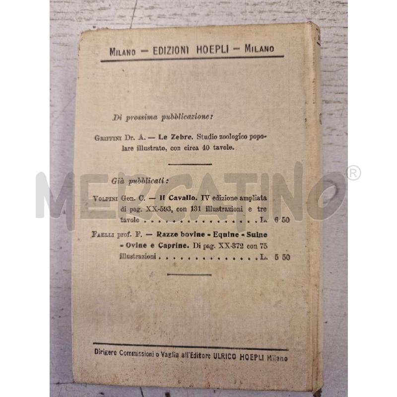 IL CAMMELLO HOEPLI ED 1912 | Mercatino dell'Usato Bologna 2