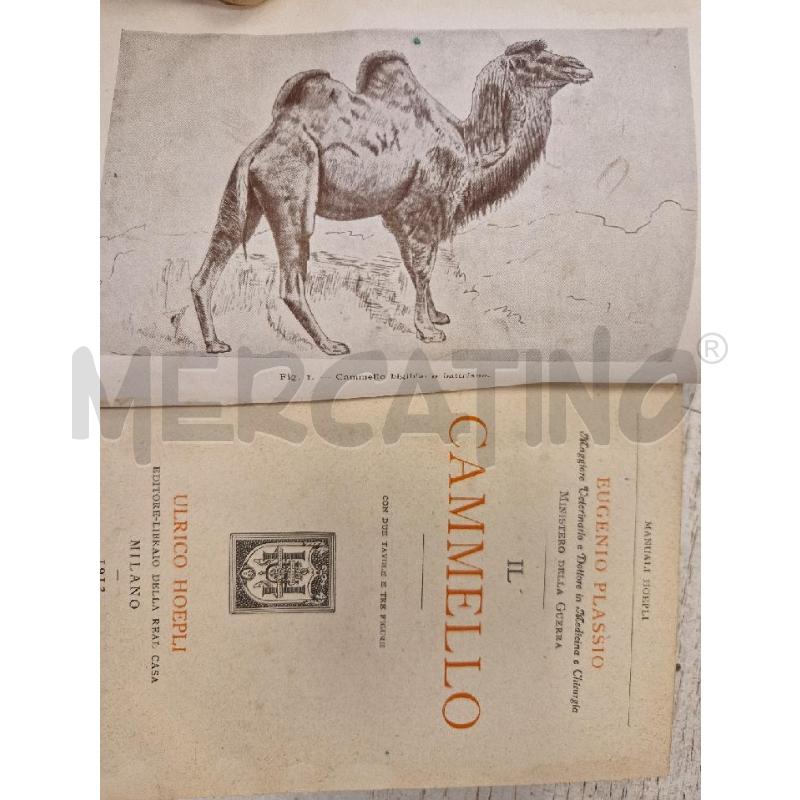 IL CAMMELLO HOEPLI ED 1912 | Mercatino dell'Usato Bologna 3