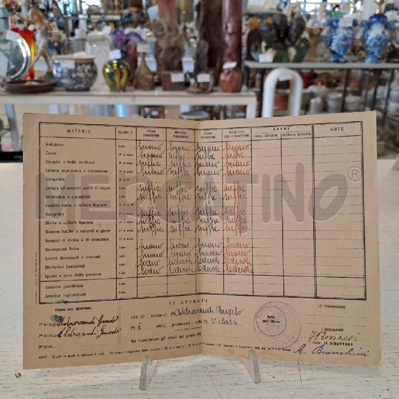 PAGELLA PNF 1942/43 | Mercatino dell'Usato Bologna 3