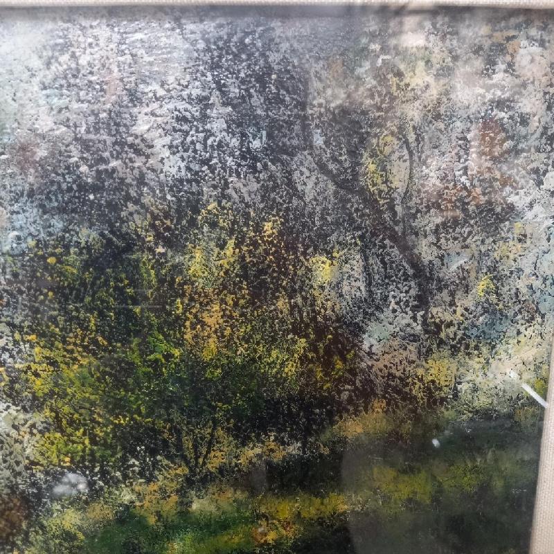 QUADRO BOSCO | Mercatino dell'Usato Bologna 5