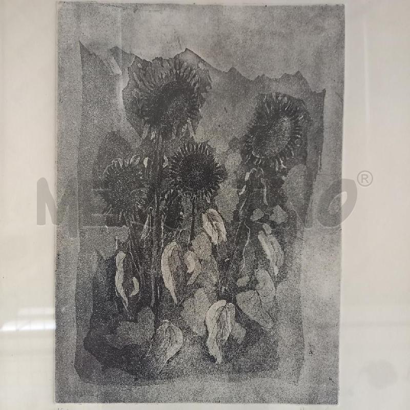 QUADRO GRAFICA GIRASOLI MORTA | Mercatino dell'Usato Bologna 5