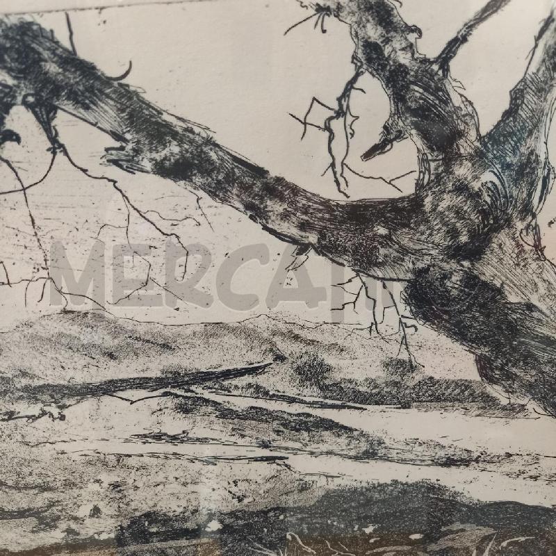 QUADRO GRAFICA VEDUTA CON TRONCO | Mercatino dell'Usato Bologna 4
