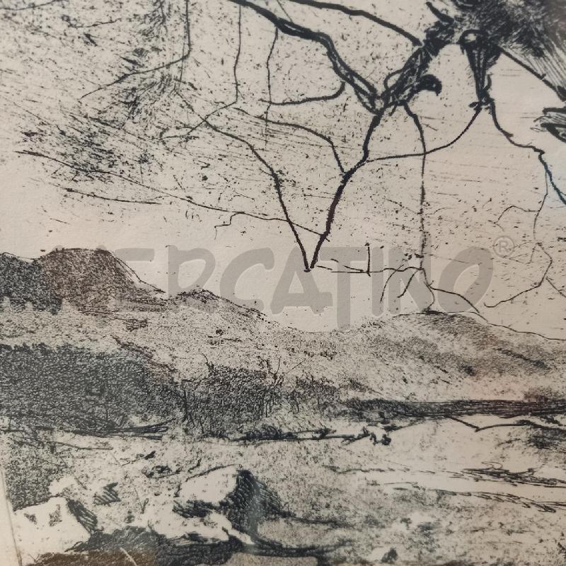 QUADRO GRAFICA VEDUTA CON TRONCO | Mercatino dell'Usato Bologna 5