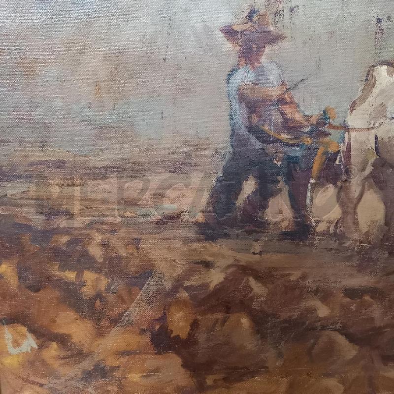 QUADRO L'ARATURA  | Mercatino dell'Usato Bologna 4