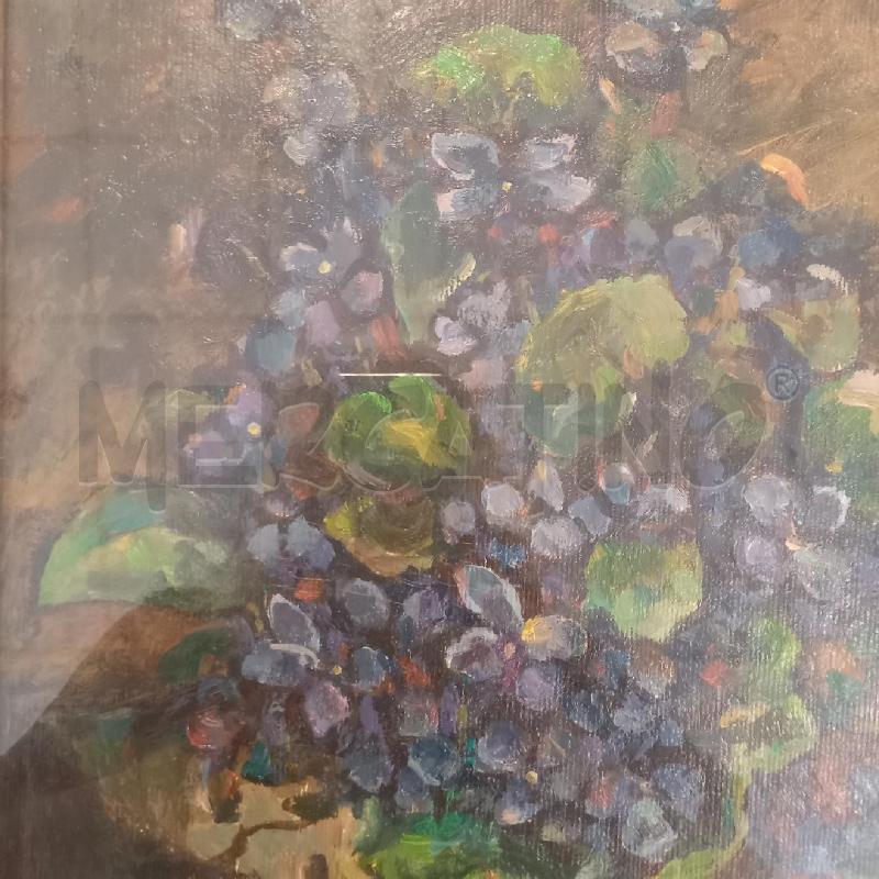 QUADRO PIANTA FIORITA | Mercatino dell'Usato Bologna 3