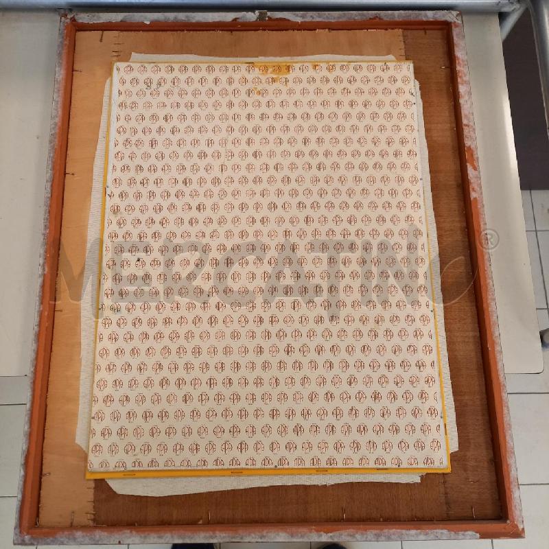 QUADRO PIANTA FIORITA | Mercatino dell'Usato Bologna 5