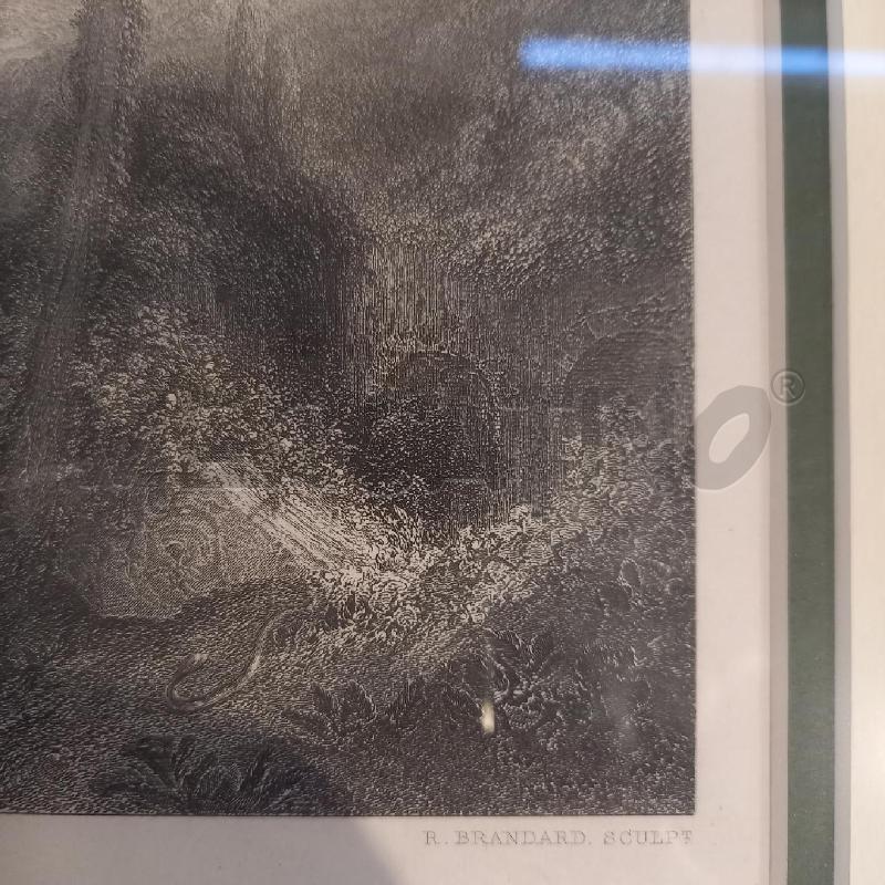 QUADRO STAMPA ALBERI E RUDERI | Mercatino dell'Usato Bologna 2