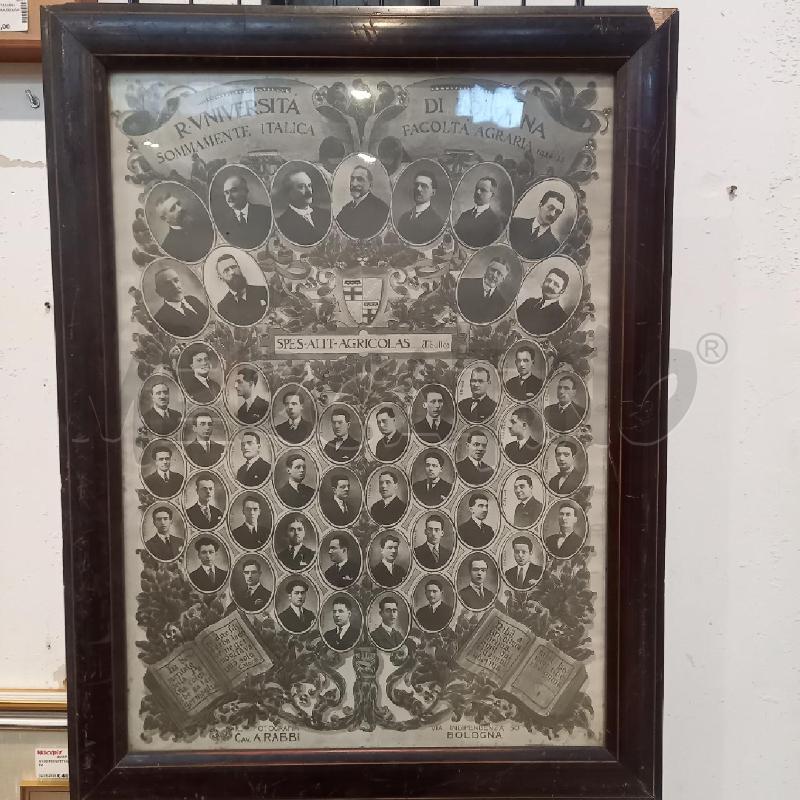 QUADRO UNIVERSITA BOLOGNA  | Mercatino dell'Usato Bologna 1