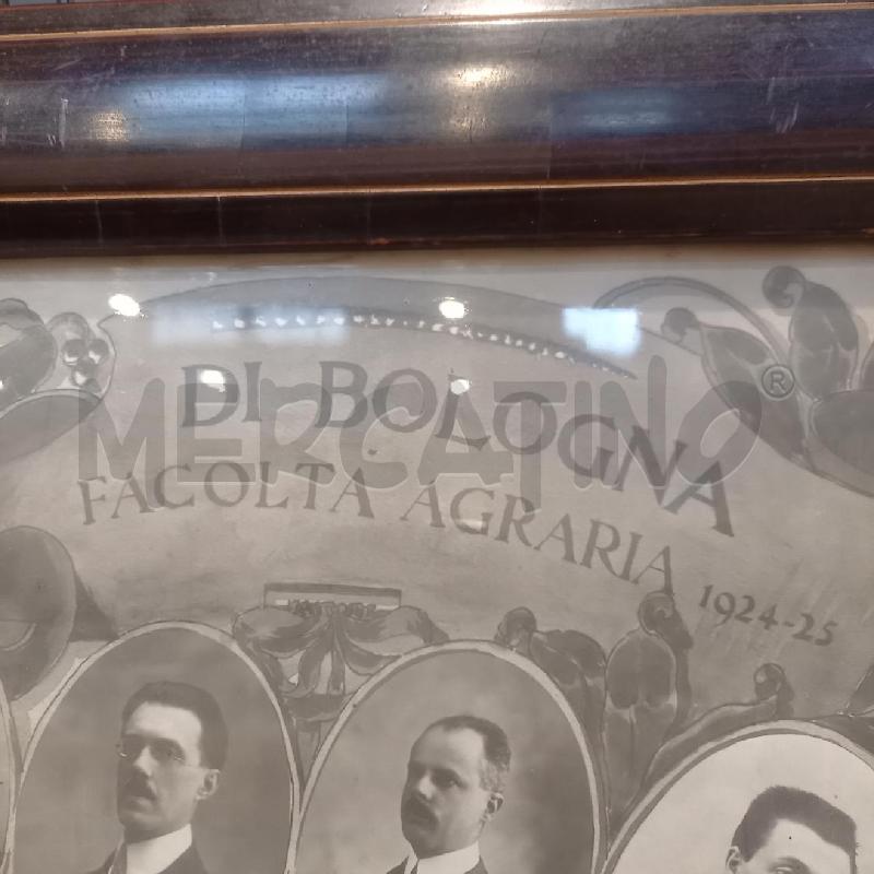 QUADRO UNIVERSITA BOLOGNA  | Mercatino dell'Usato Bologna 3
