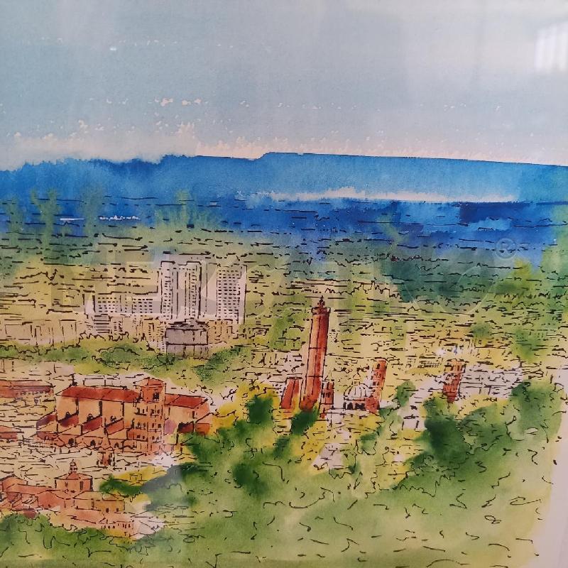 QUADRO VEDUTA DI BOLOGNA | Mercatino dell'Usato Bologna 4