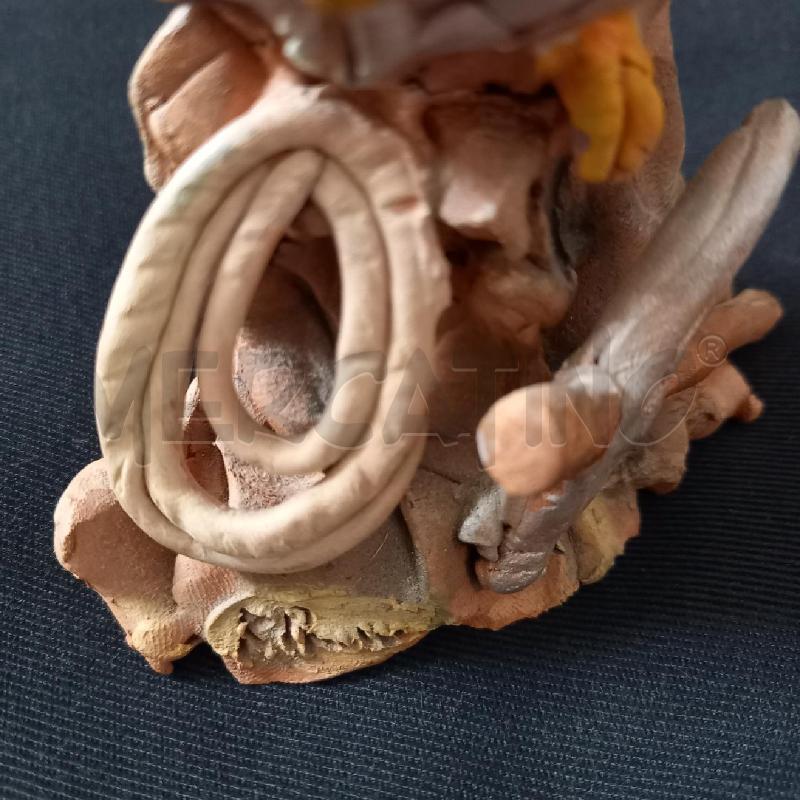 SCULTURA TERRACOTTA GUFO ALPINO BARBATO | Mercatino dell'Usato Bologna 2