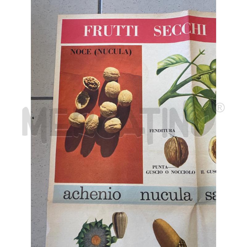 MANIFESTO FRUTTI SECCHI  | Mercatino dell'Usato Campobasso 5