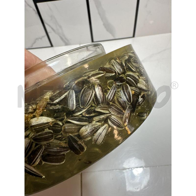POSA CENERE E ACCENDINO CON SEMI PLEXI | Mercatino dell'Usato Campobasso 5