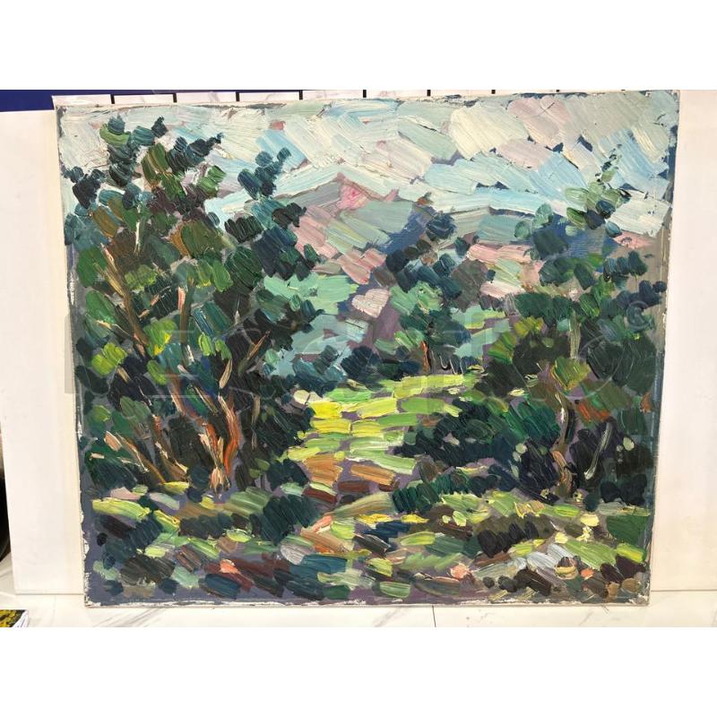 QUADRO DE MARCO PENNELLATE 60X70 CM OLIO SU TELA | Mercatino dell'Usato Campobasso 1