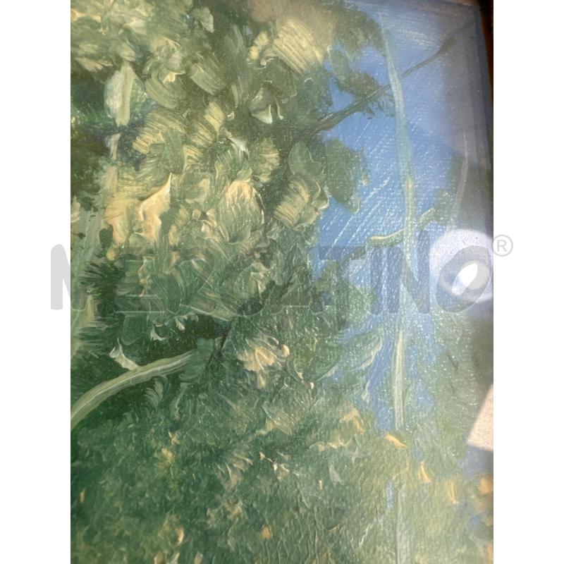 QUADRO DIPINTO ALBERI IN VERDE 24X29 | Mercatino dell'Usato Campobasso 5