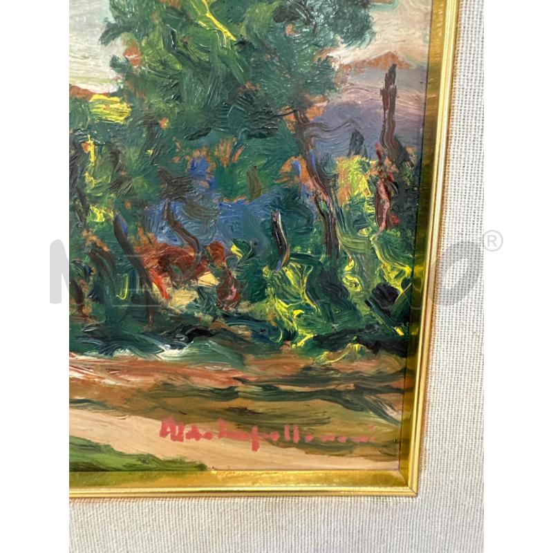 QUADRO RIP IMPALLOMENI VISTA MOLISANA 46X41 CM  | Mercatino dell'Usato Campobasso 2