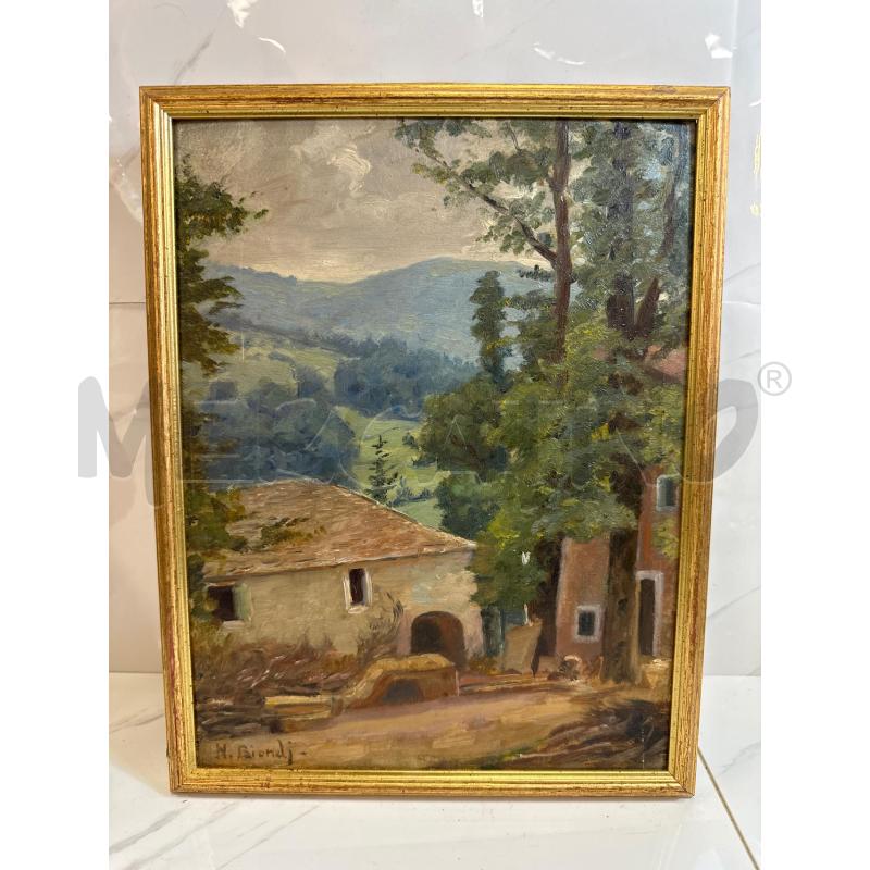 QUADRO RIP N. BIONDI 27X35 CM  | Mercatino dell'Usato Campobasso 1