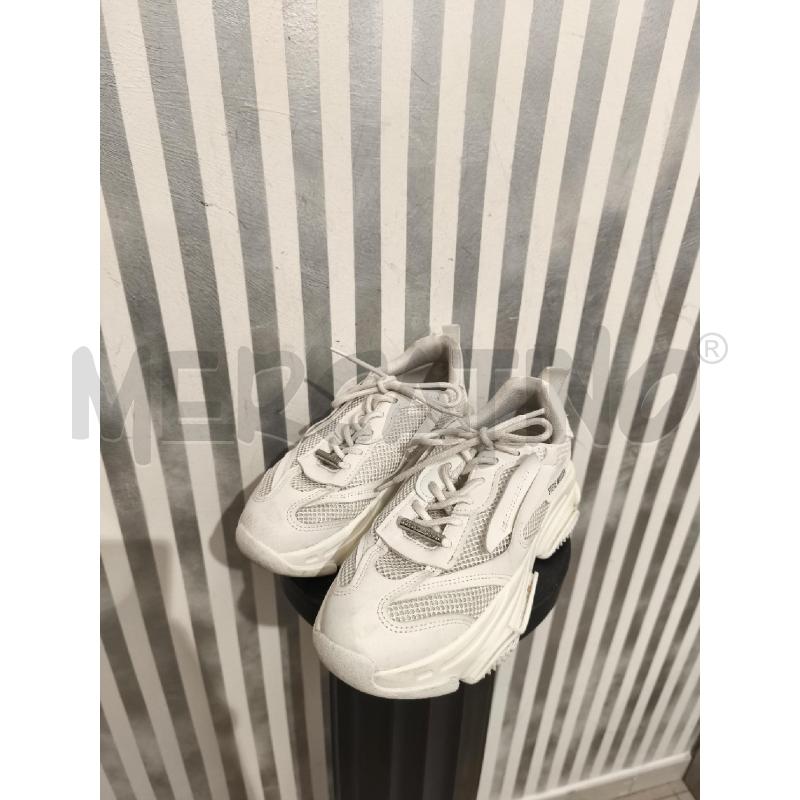 SNEAKERS DONNA STEVE MADDEN BIANCHE SCRITTE NERE | Mercatino dell'Usato Campobasso 1