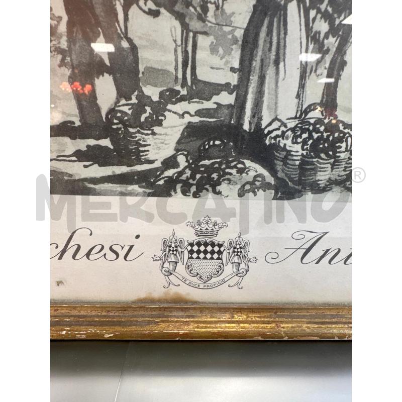 STAMPA DELLA VENDEMMIA ANTINORI | Mercatino dell'Usato Campobasso 2
