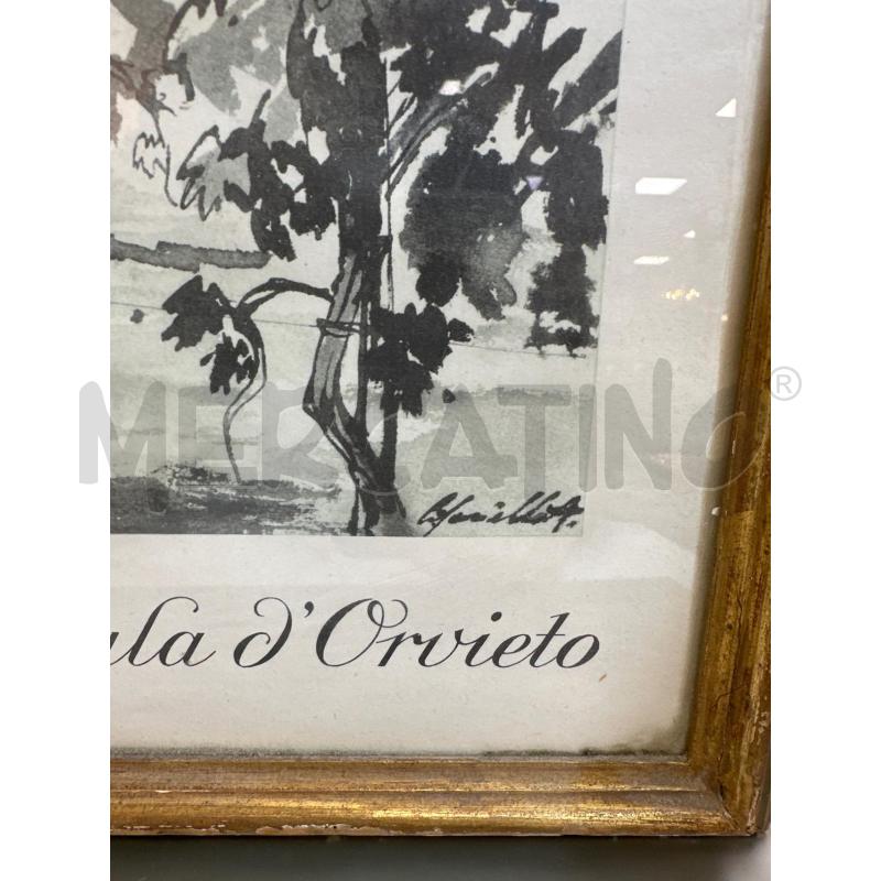 STAMPA DELLA VENDEMMIA ANTINORI | Mercatino dell'Usato Campobasso 3