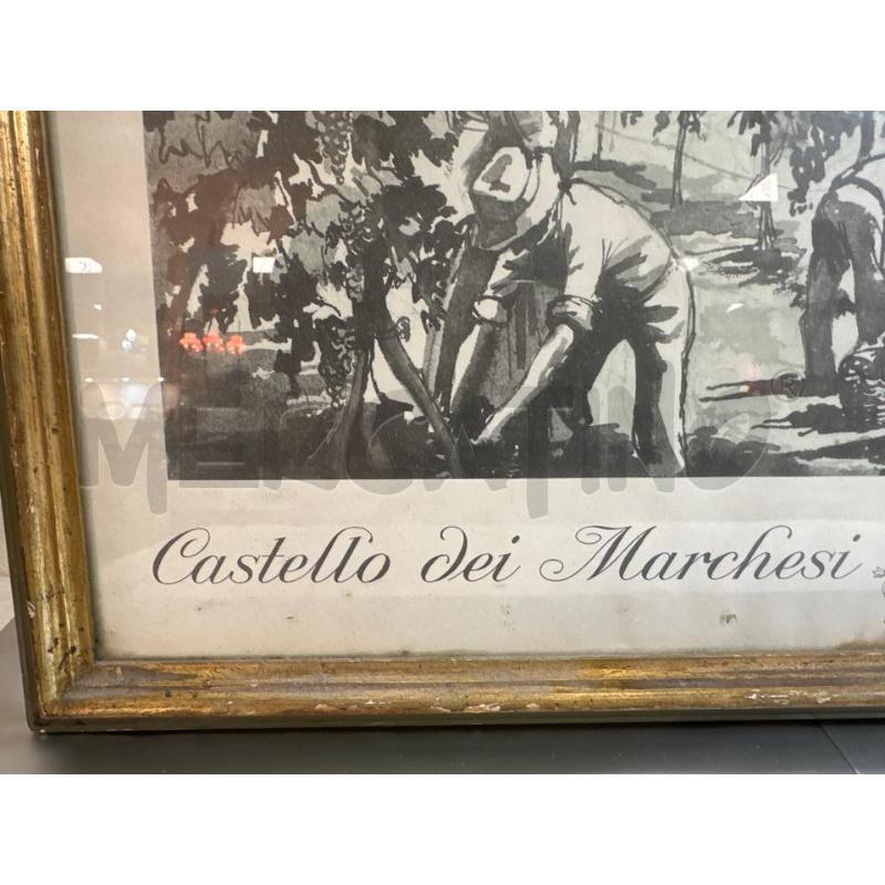 STAMPA DELLA VENDEMMIA ANTINORI | Mercatino dell'Usato Campobasso 5