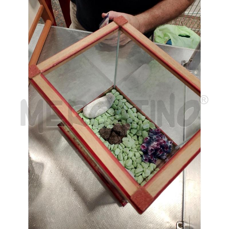 ACQUARIO PICCOLINO | Mercatino dell'Usato San giovanni teatino 2